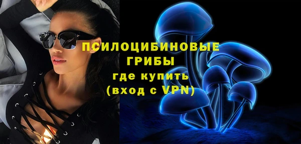 молекула духа Абинск