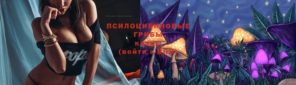 ГАЛЛЮЦИНОГЕННЫЕ ГРИБЫ Абдулино
