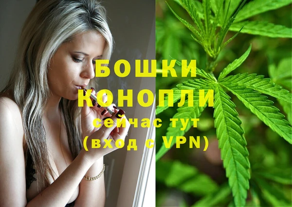 spice Абаза