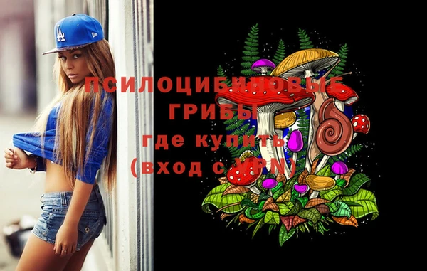 spice Абаза