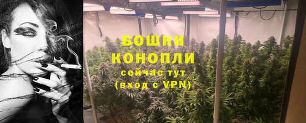 ПСИЛОЦИБИНОВЫЕ ГРИБЫ Мурманск