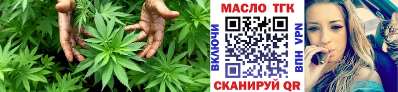 Дистиллят ТГК жижа  MEGA маркетплейс  Александровск  магазин   