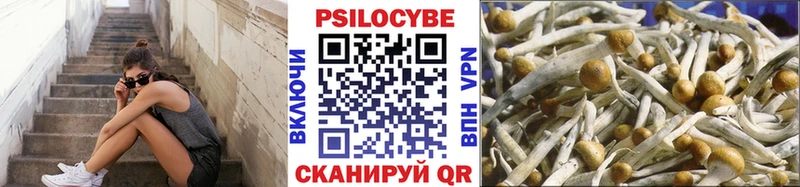 Галлюциногенные грибы мицелий  Александровск 